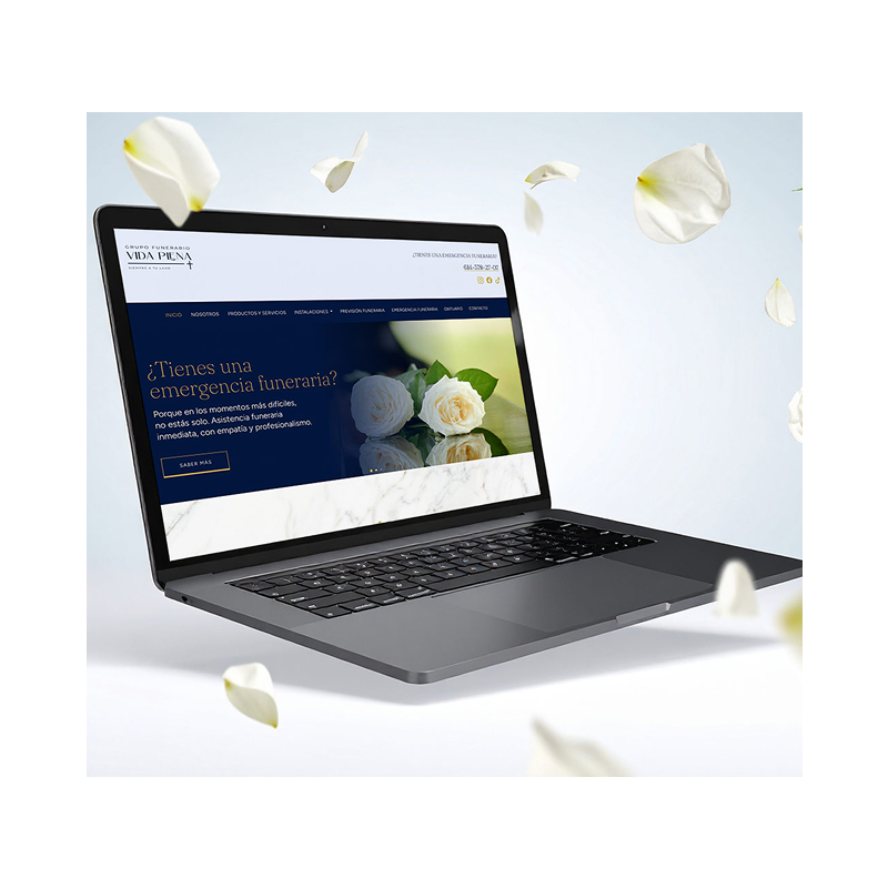 Sitio Web — Vida Plena